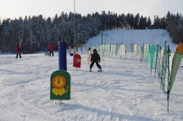 Ustrzyki Dolne Atrakcja Szkoła narciarska Regle