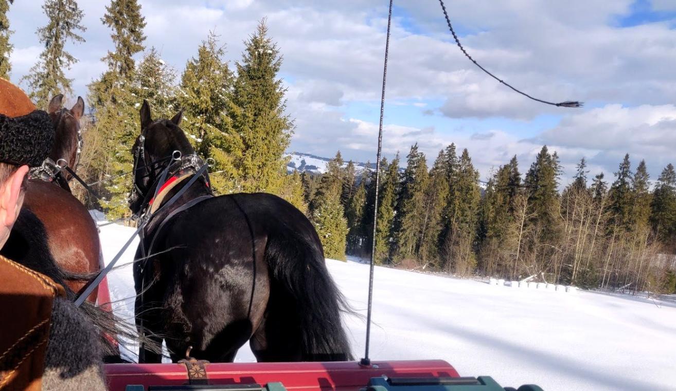 Najlepsze atrakcje w Bukowinie Tatrzańskiej: co zobaczyć, gdzie zjeść. - Atrakcje.pl