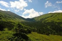 Zakopane Atrakcja Dolina Dolina Chochołowska