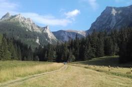 Zakopane Atrakcja Dolina Dolina Małej Łąki 