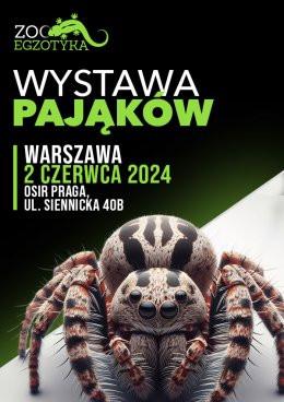 Warszawa Wydarzenie Targi Wystawa pająków - Warszawa