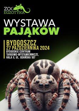 Bydgoszcz Wydarzenie Targi Wystawa pająków - Bydgoszcz