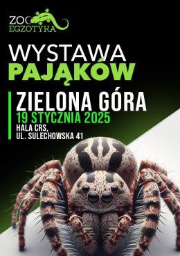 Zielona Góra Wydarzenie Targi Wystawa pająków - Zielona Góra