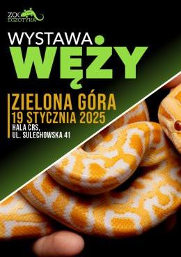 Zielona Góra Wydarzenie Targi Wystawa węży - Zielona Góra