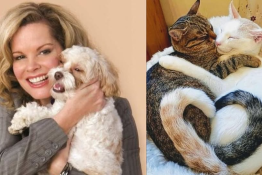 Wydarzenie Warsztaty BEZPŁATNY WEBINAR - Wprowadzenie do Komunikacji ze