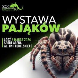 Łódź Wydarzenie Targi Wystawa pająków